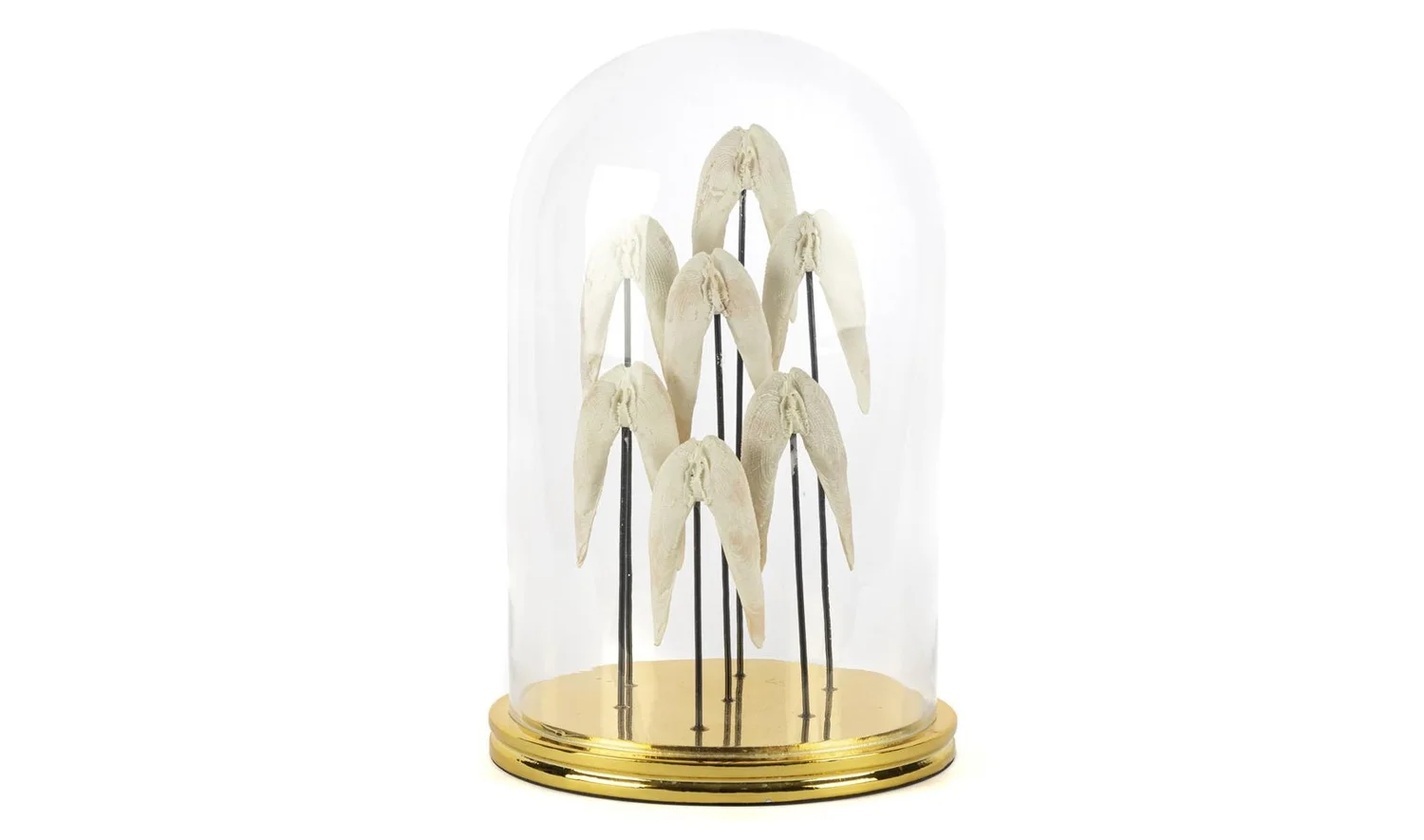 Angel Gold Dekoratif Cam Fanus 22x37 cm