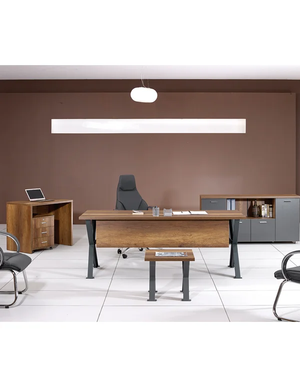 Aspendos Yönetici Takımı