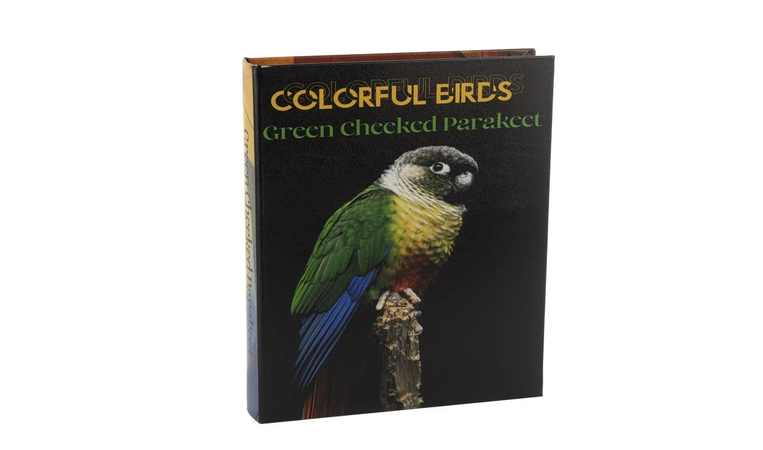 Colorful Birds Kitap Kutu 28x22 cm