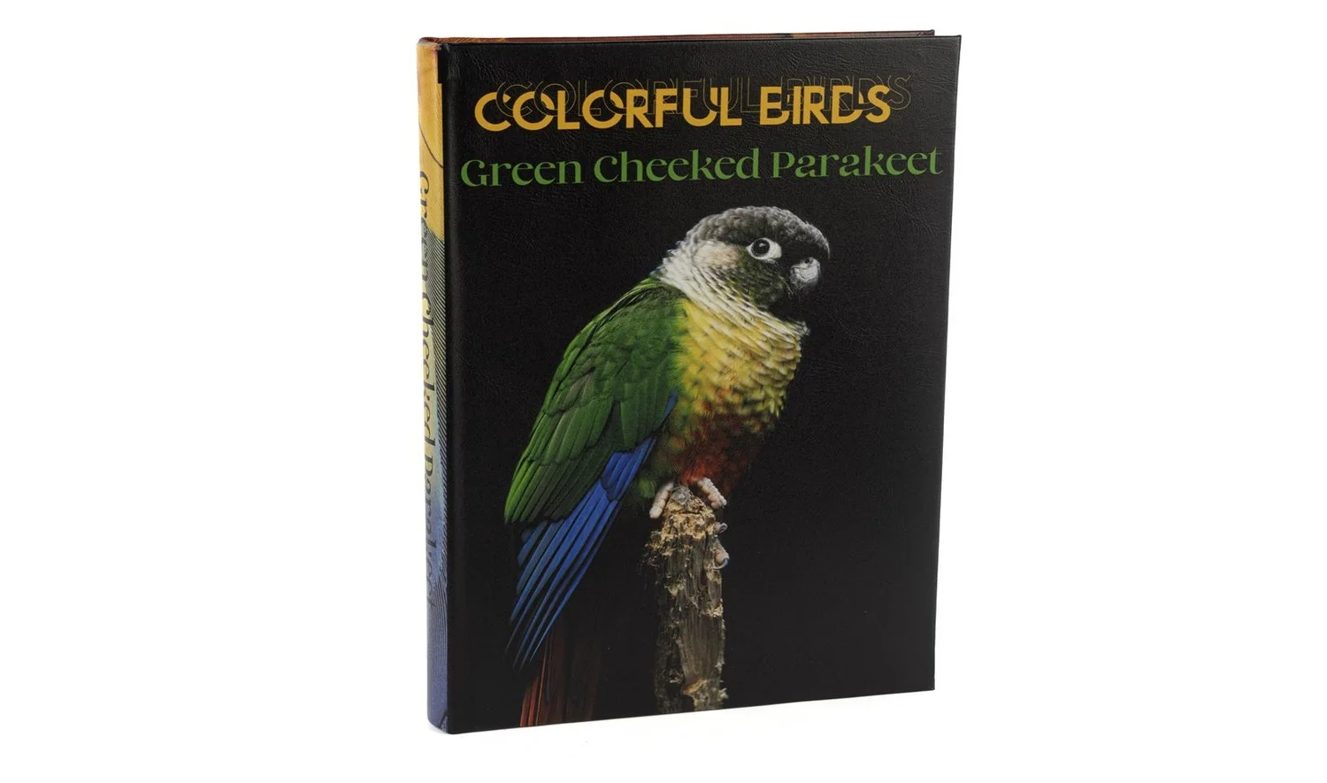 Colorful Birds Kitap Kutu 35x24 cm