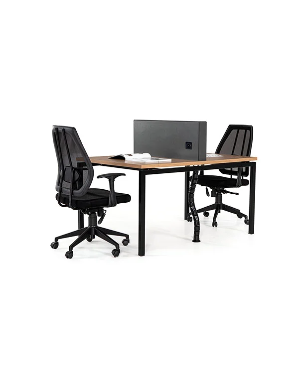 Ferro Work 2 İkili Çalışma Masası