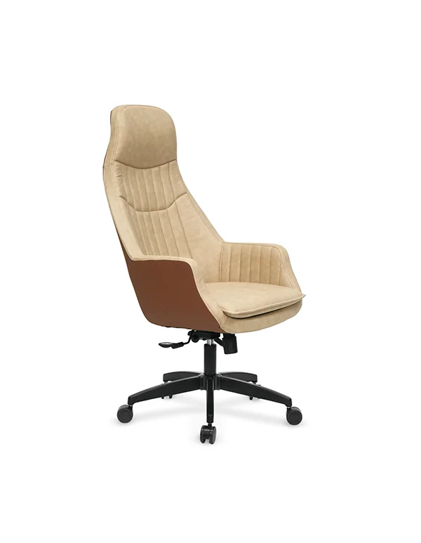 Göktuğ Yönetici Koltuğu