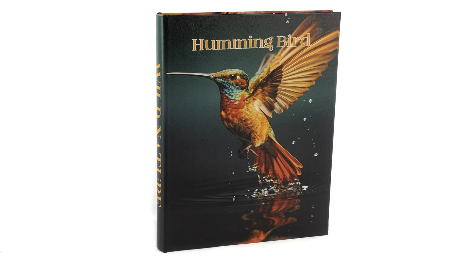 Humming Bird Kitap Kutu 35x24 cm