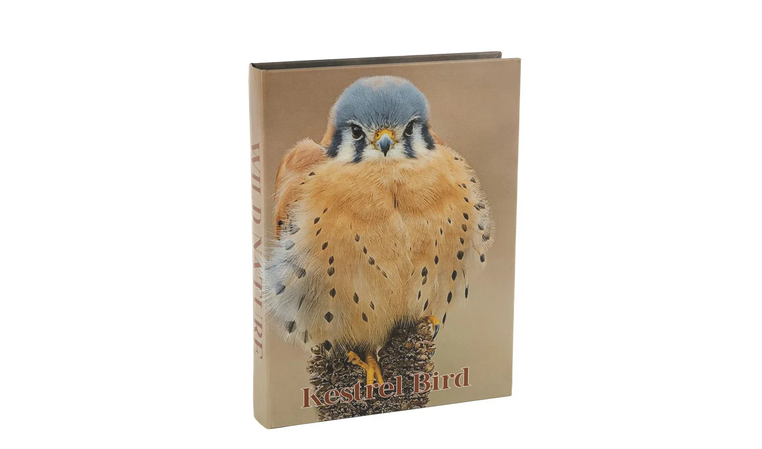 Kestrel Bird Kitap Kutu 28x22 cm