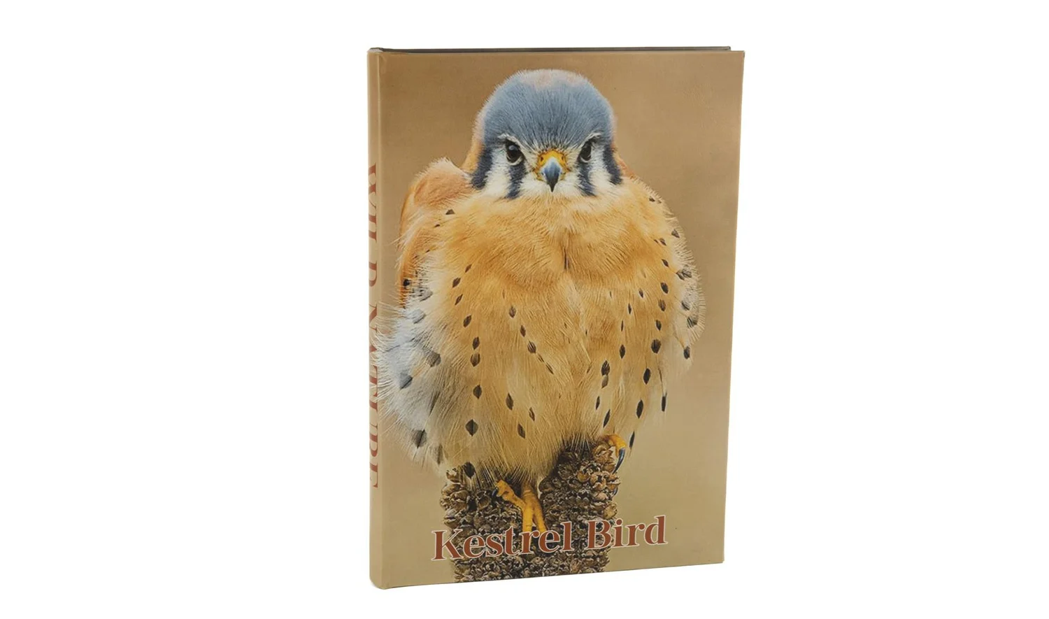 Kestrel Bird Kitap Kutu 35x24 cm
