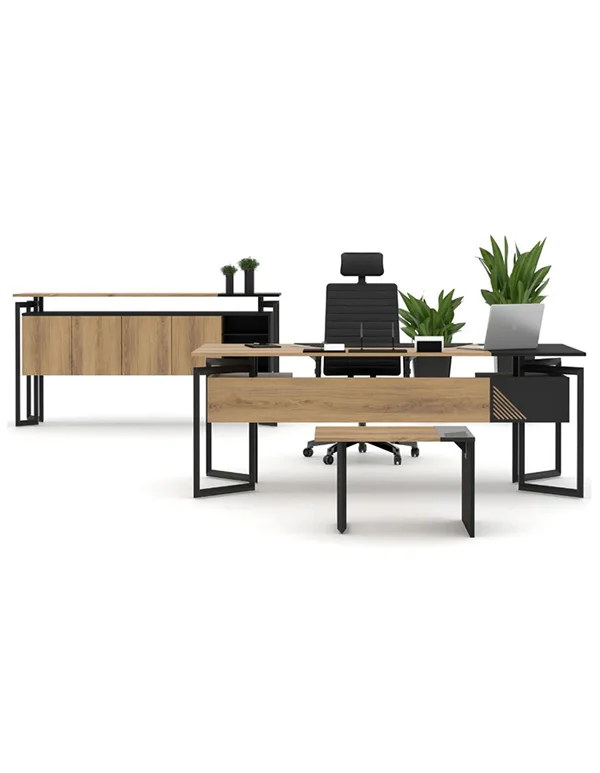 Lex Yönetici Takımı