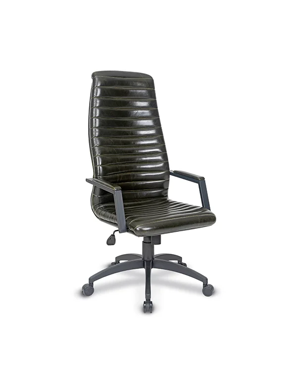 Life Müdür Koltuğu Boyalı Kol