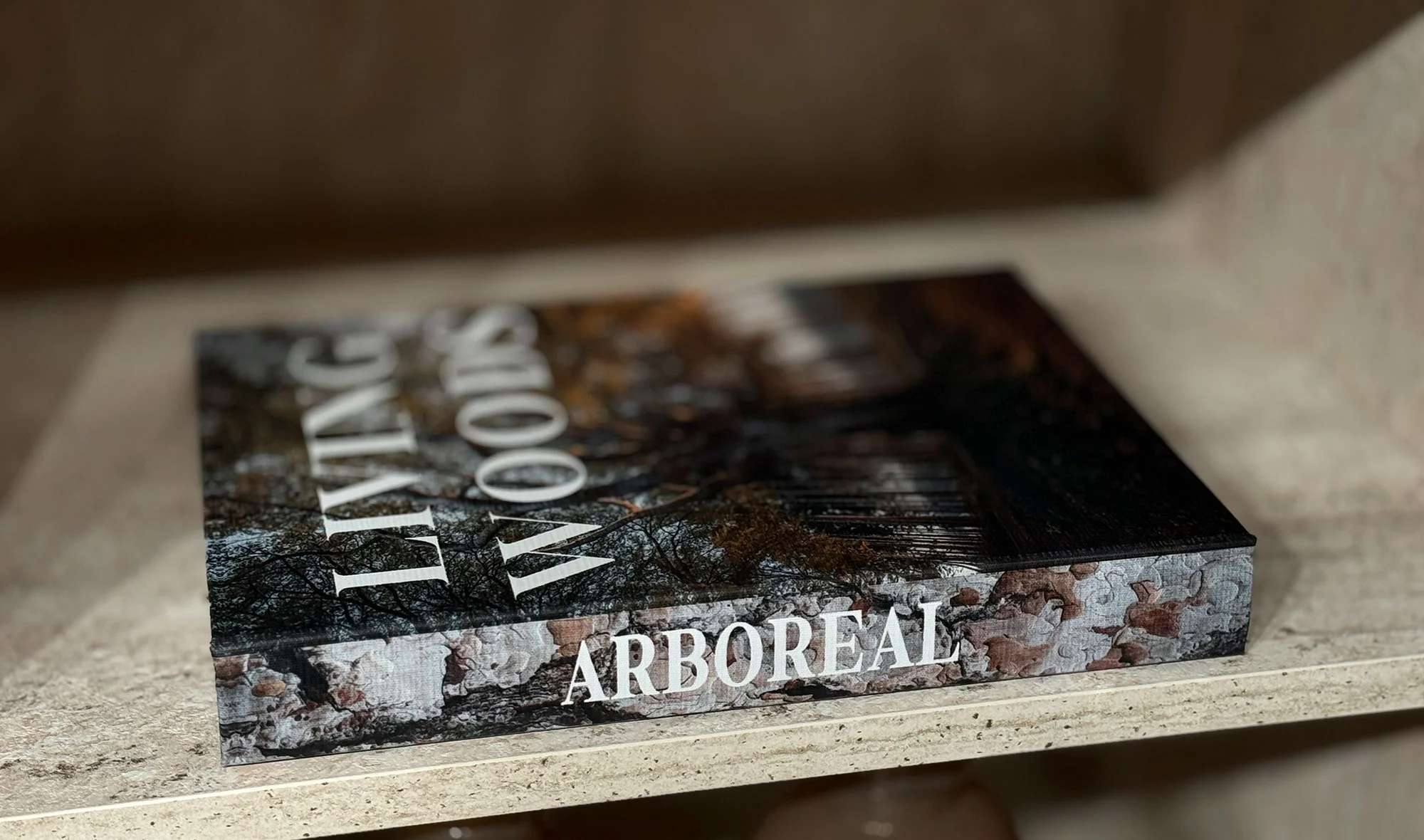 Living Woods Forest Kitap Kutusu - 29x22 cm