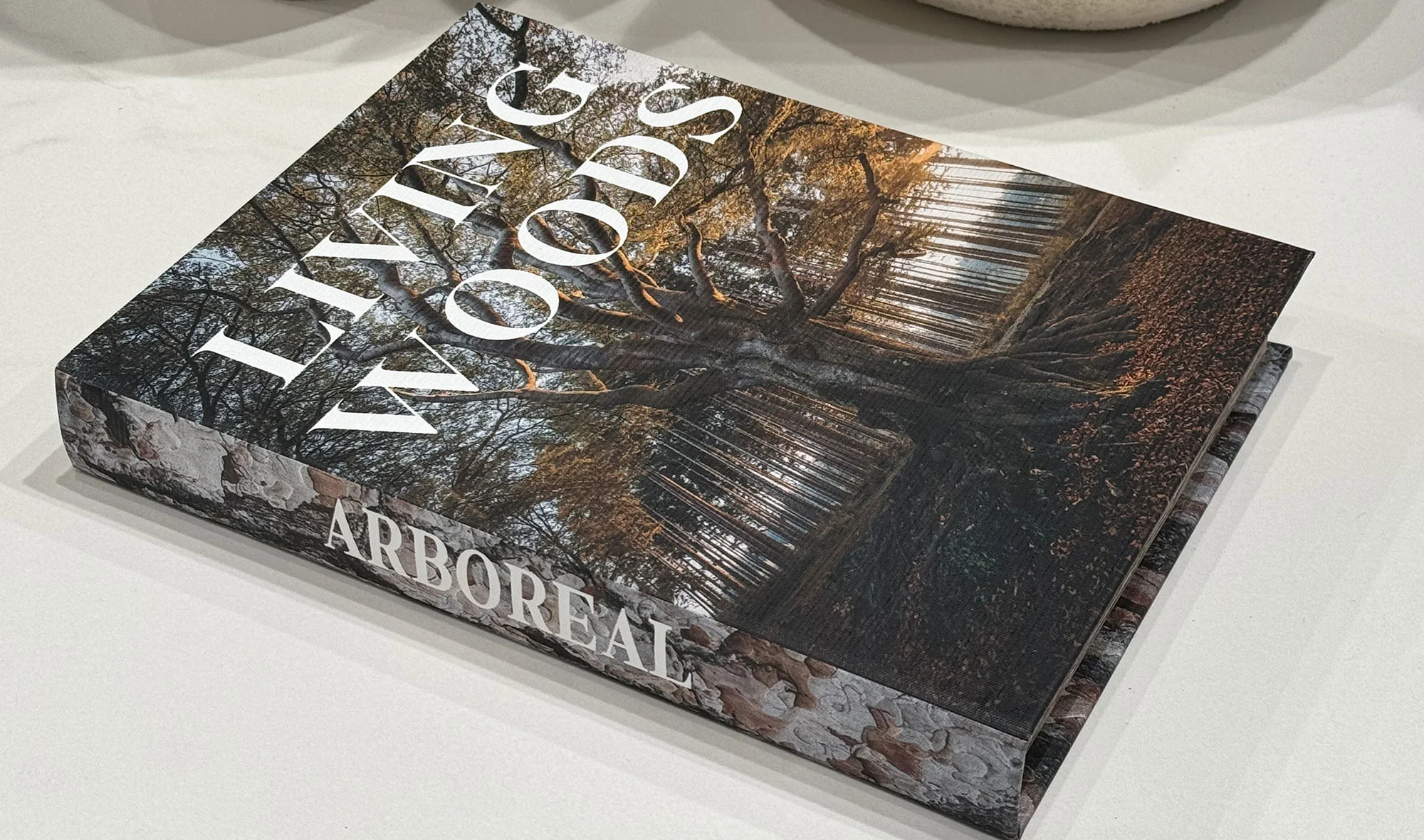 Living Woods Forest Kitap Kutusu - 34x24 cm