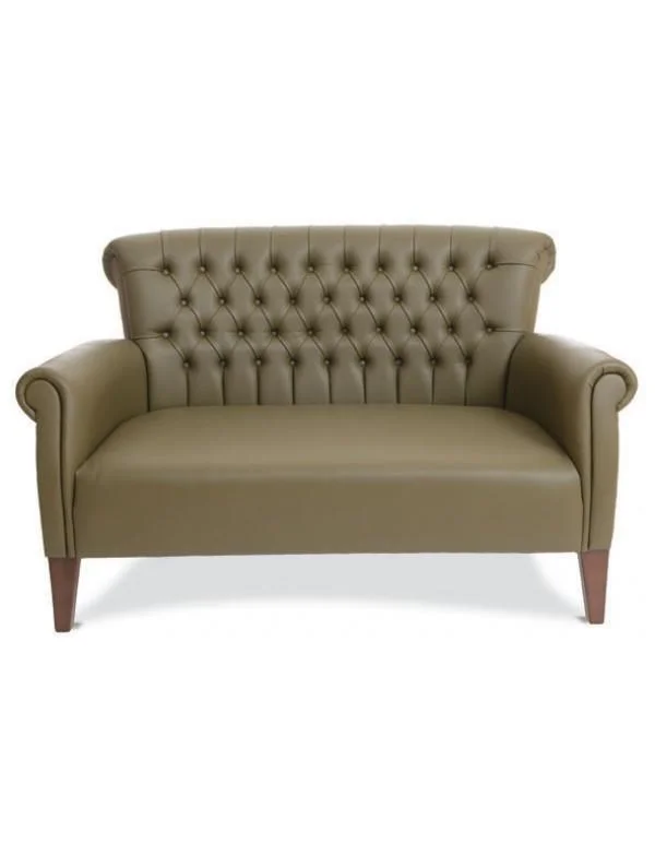 Lizart Ofis Kanepe Takımı