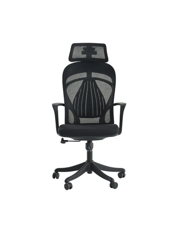 Mare Yönetici Koltuğu