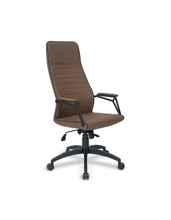 Nano Lazer Kol Müdür Koltuğu