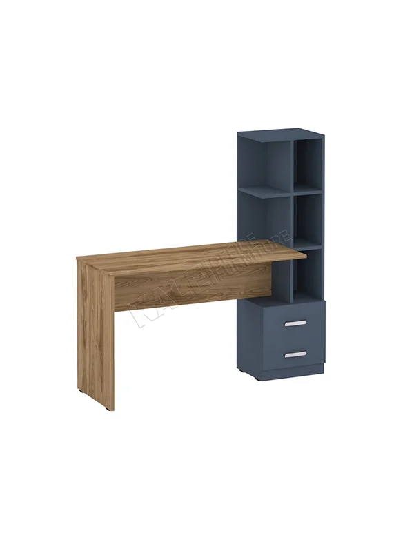 Neptün Çalışma Masası