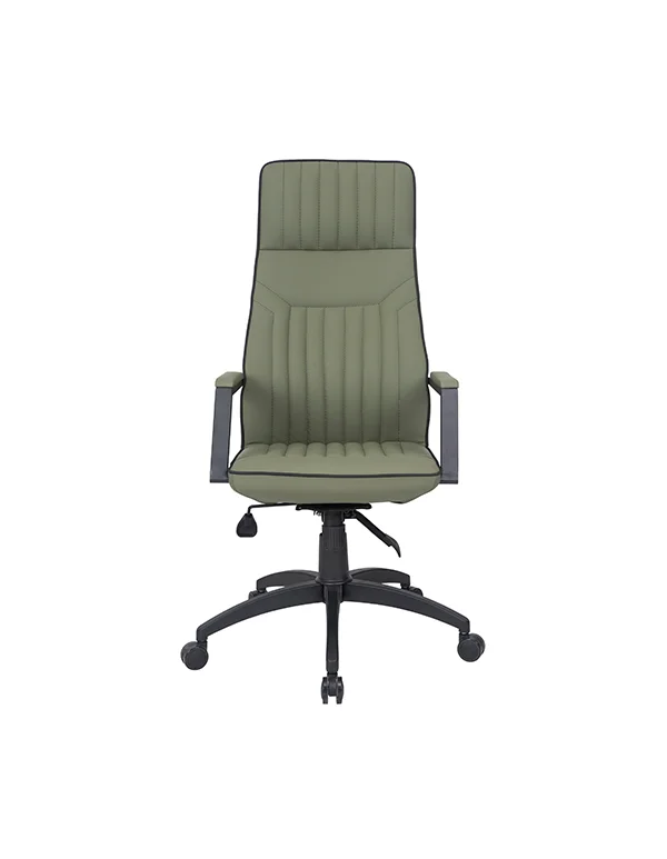 Nexus Müdür Koltuğu Boyalı Kol