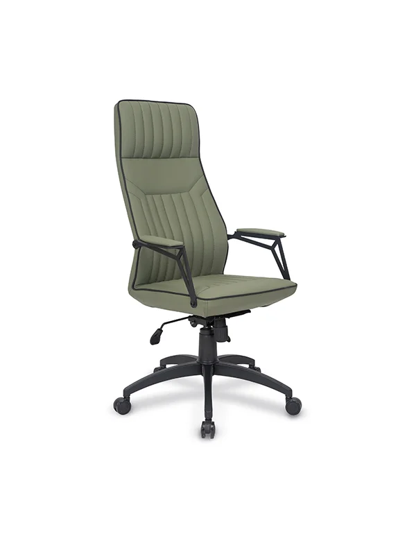 Nexus Müdür Koltuğu