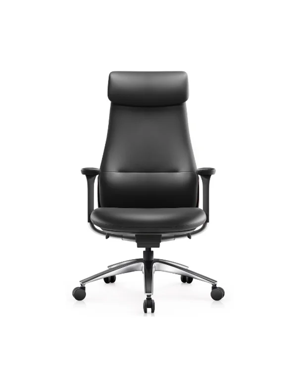 Padova Yönetici Koltuğu