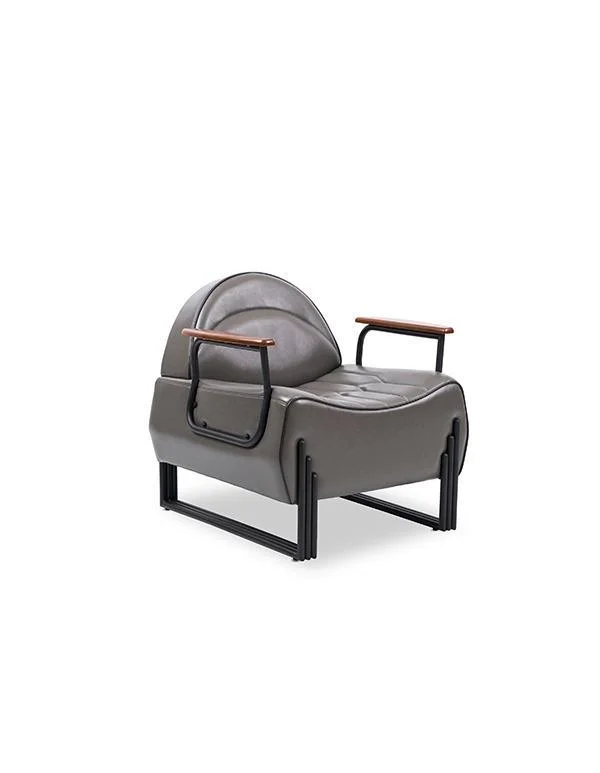 Picasso Tekli Ofis Kanepesi