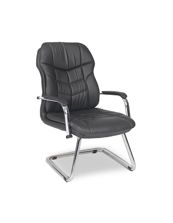 Rollins Krom U Misafir Koltuğu