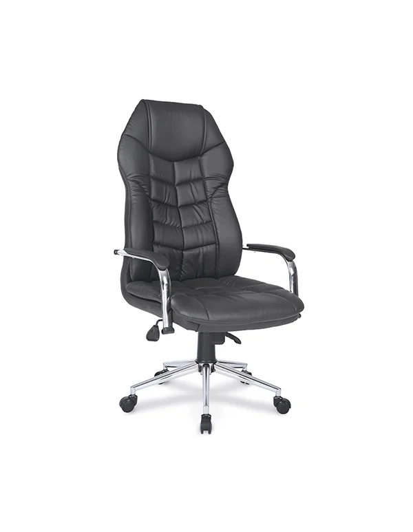 Rollins Krom Yönetici Koltuğu
