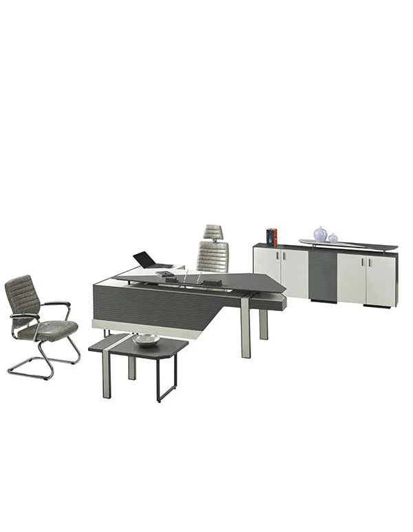 Santiago Yönetici Takımı