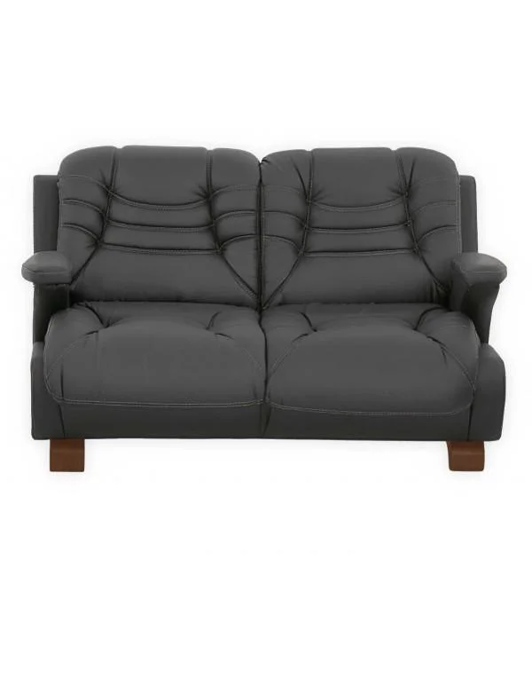 Tiger İkili Ofis Kanepe