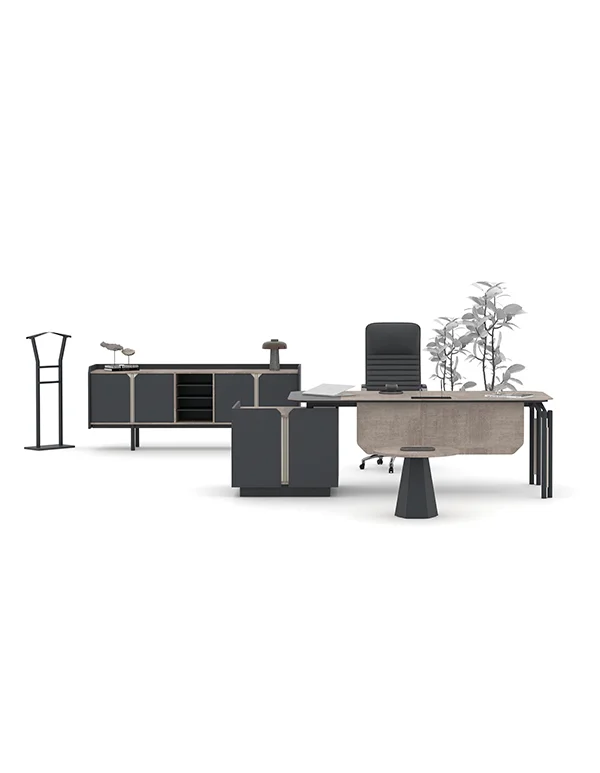 Twin Yönetici Takımı