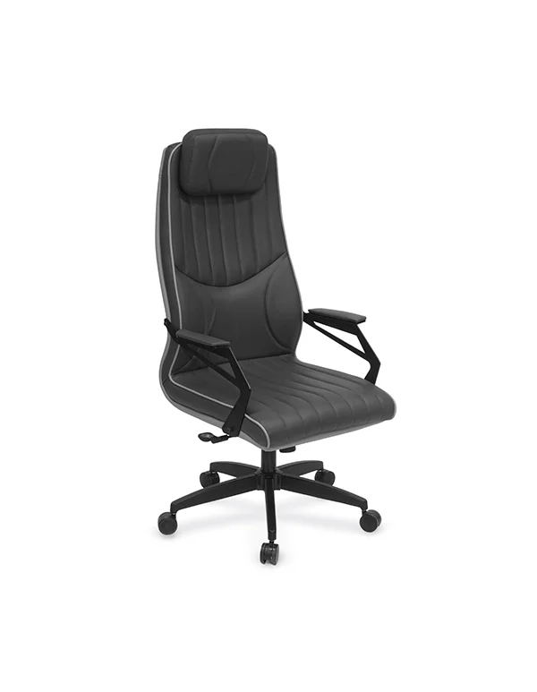 Vera Yönetici Koltuğu