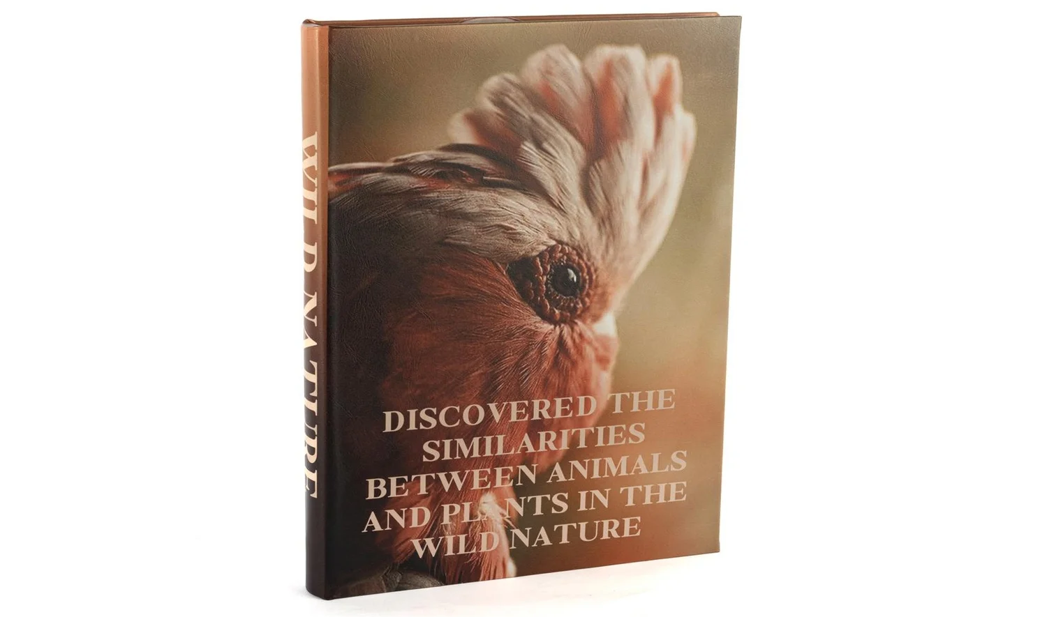 Wild Nature Kitap Kutu 35x24 cm