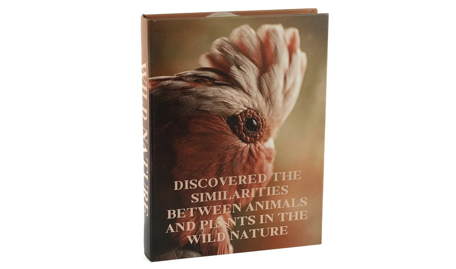 Wild Nature Kitap Kutusu 28x22 cm