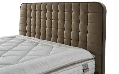 Letto Başlık
