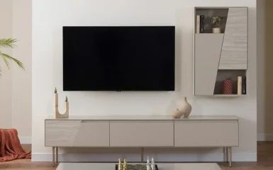Zenica TV Ünitesi
