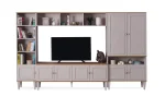 Tv Ünitesi