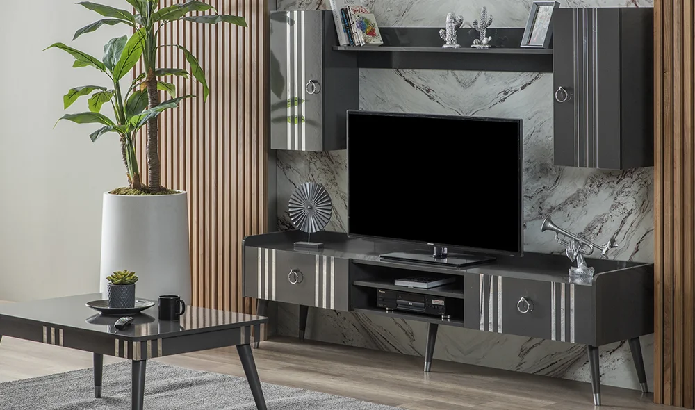 Karnaval Antrasit Tv Ünitesi