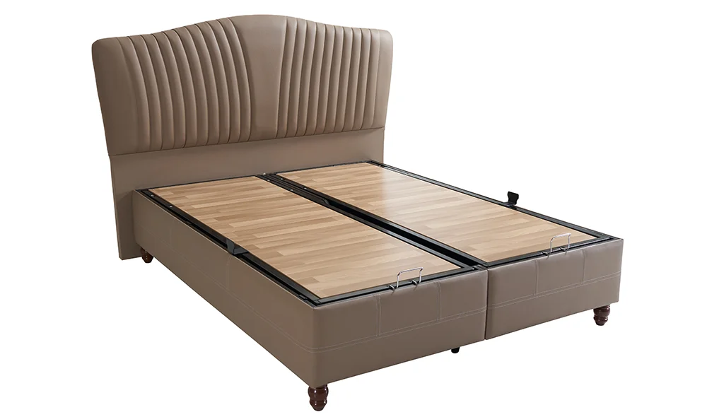 Asis Baza + Başlık