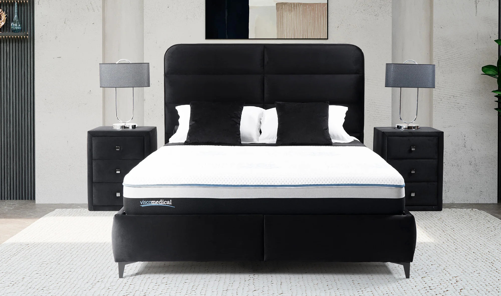 Viscomedikal Vita Baza + Başlık + Yatak